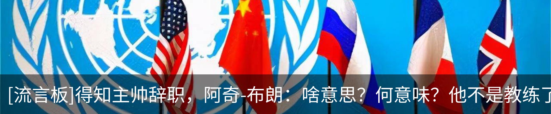 最新动态